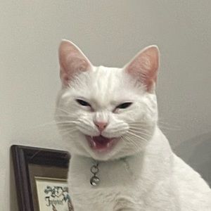 Meet your Posher, Clare